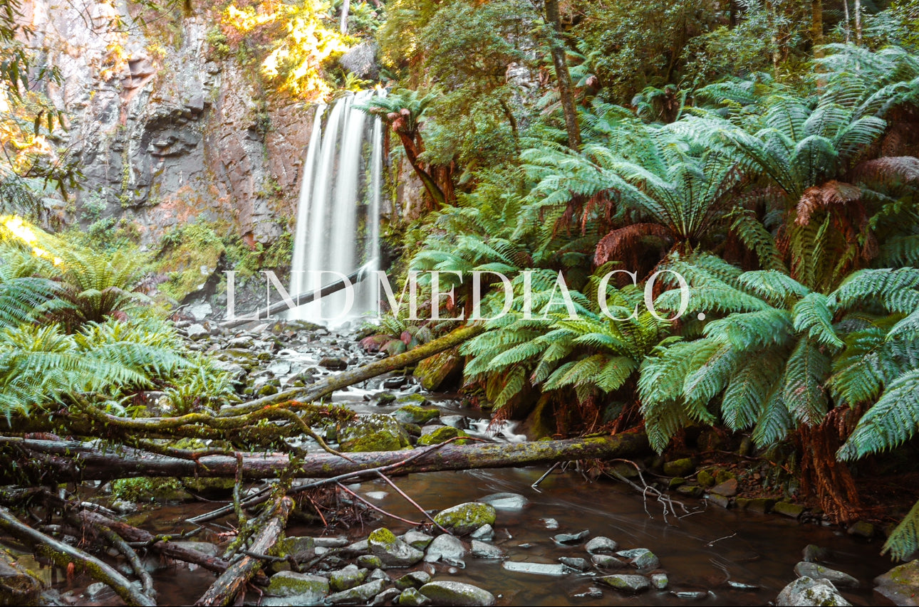 Hopetoun Falls | Otways