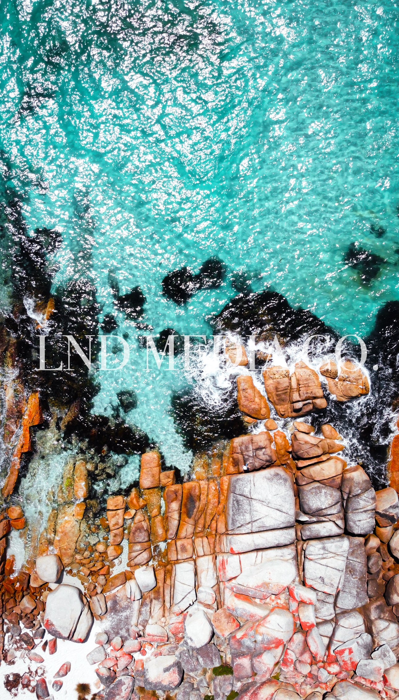 Bay Of Fires | Tasmania